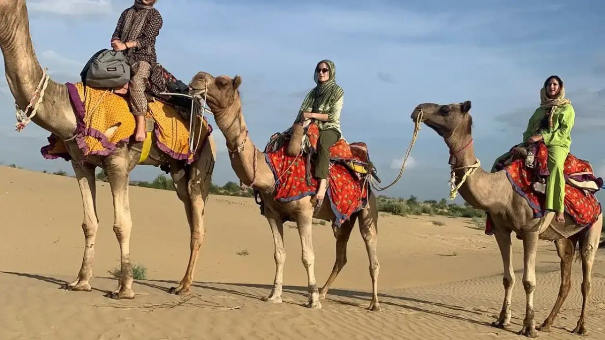 Jaisalmer Camel Safari Tours