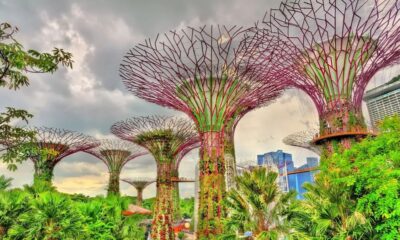 Nature-Based Solutions