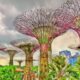 Nature-Based Solutions