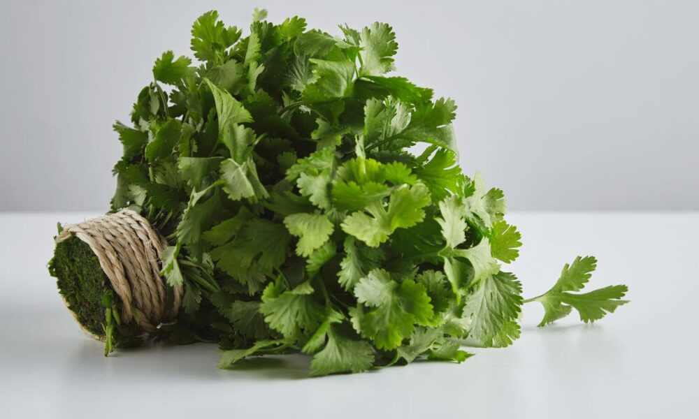 Koriandri vs. Cilantro: Understanding the Differences and Similarities