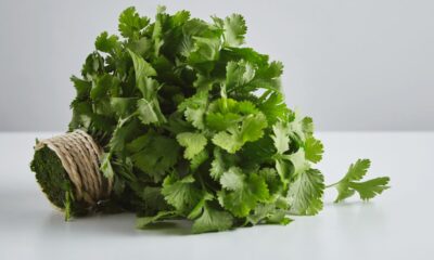 Koriandri