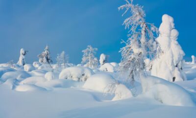 snowhiter