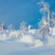 snowhiter