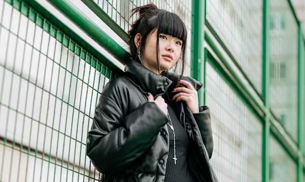 Animeidhen