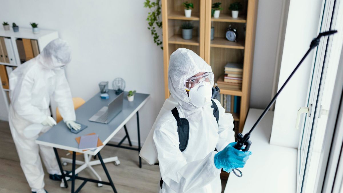 Hire An Exterminator In Corona