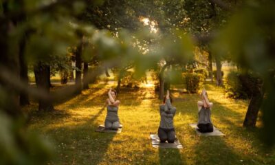 Health ThreeTrees com vn