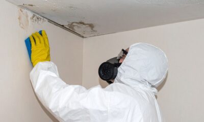 Mold Remediation