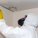 Mold Remediation