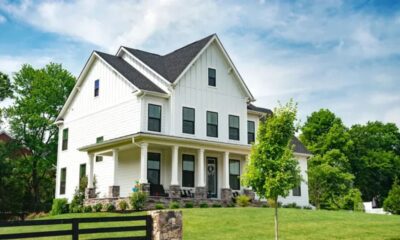 Professional Painter