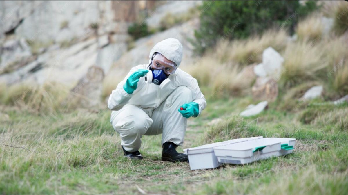 Pest Control Melbourne