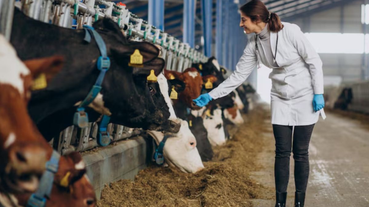 plant-based feed additives