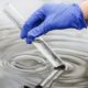 Biofilm Control