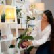 Decorate Your Home