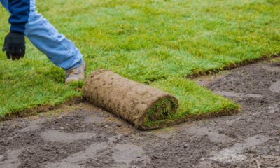 Turf Farms