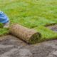 Turf Farms