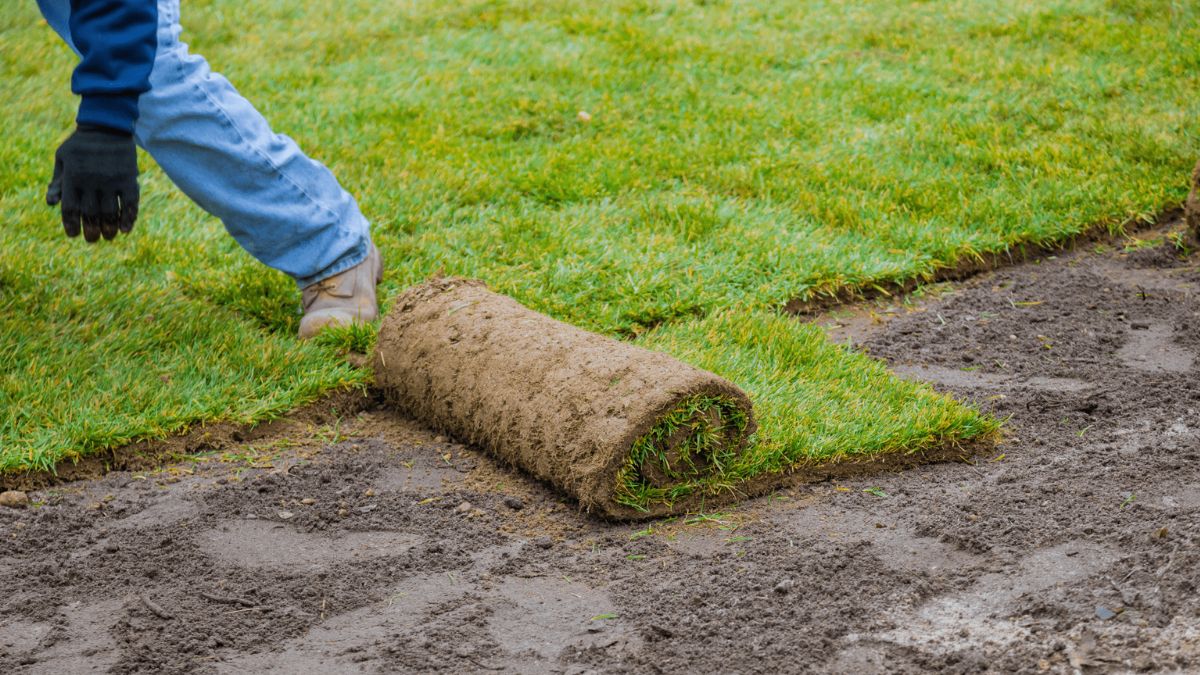 Turf Farms