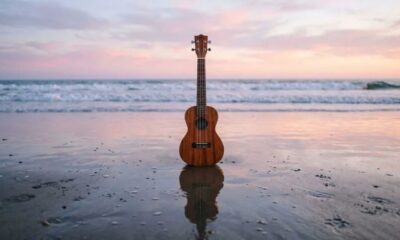 ukulele history