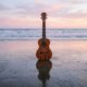 ukulele history