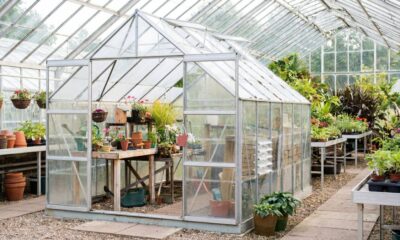 Acrylic Sheets