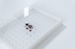 Defining Dynamic Range in an ELISA Kit