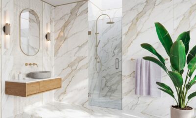 Frameless Shower Doors