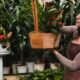 Large Plant Pots