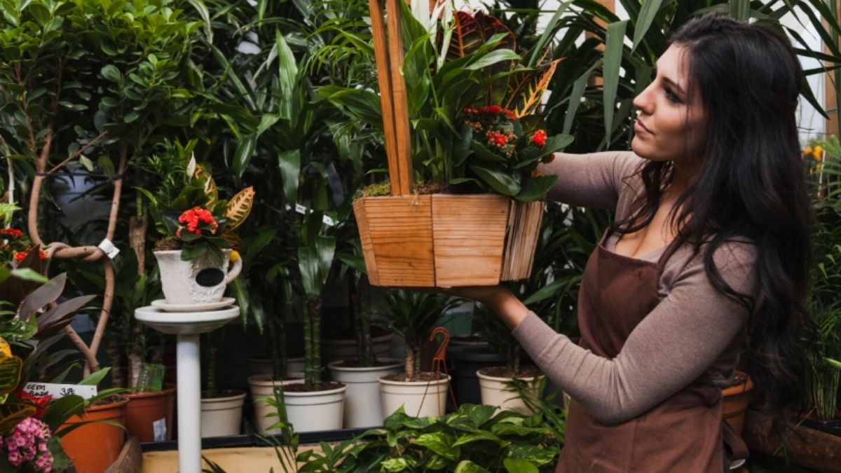 Large Plant Pots