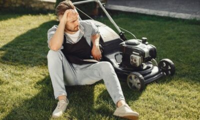 Lawn