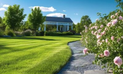 Lawn Care