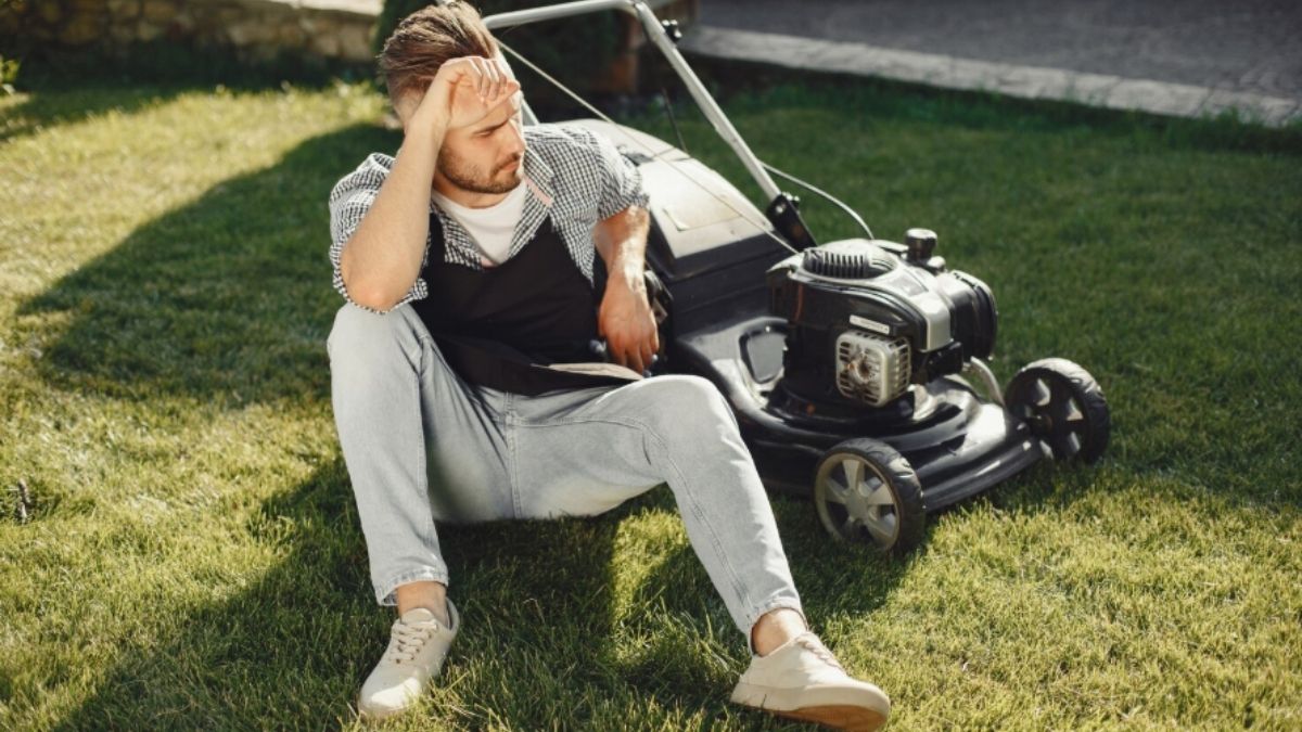 Lawn