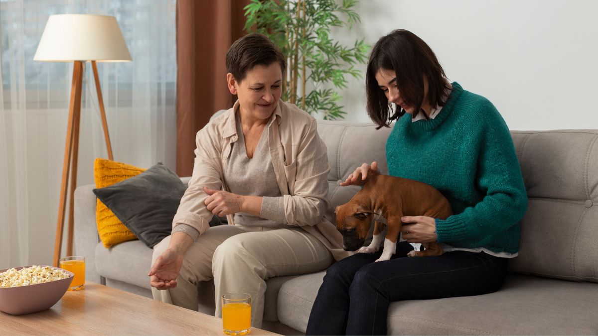 Pet Euthanasia Westchester