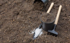 Soil Conditioning Improves Moisture Retention