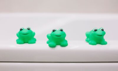 Squishy Toy