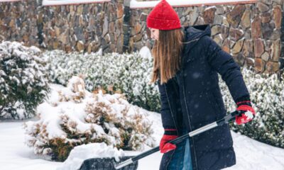 Winter Arrives