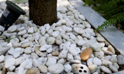 Bagged Rocks
