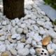 Bagged Rocks