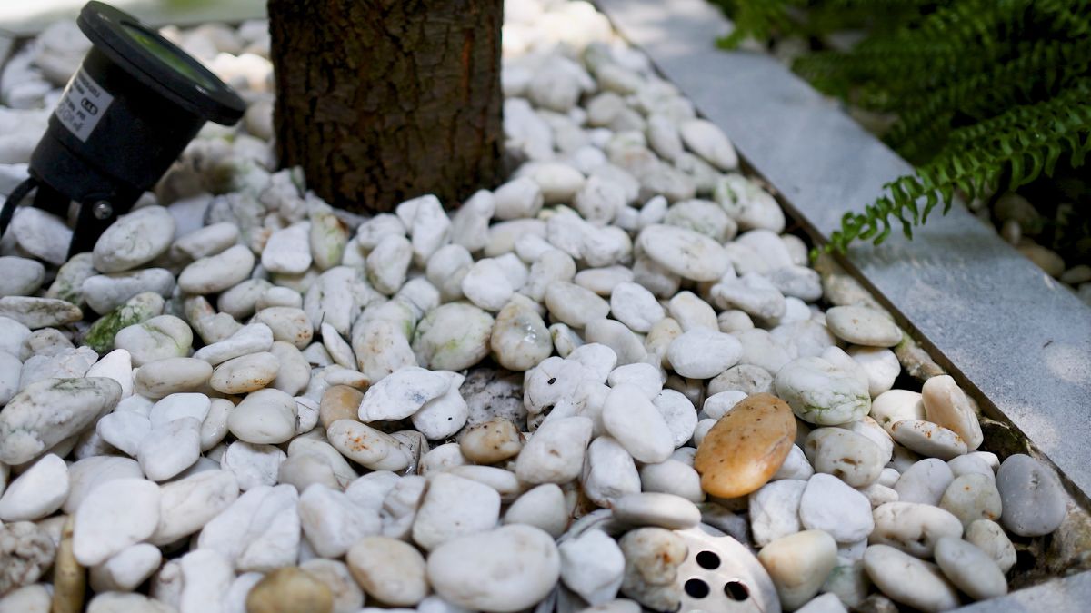 Bagged Rocks