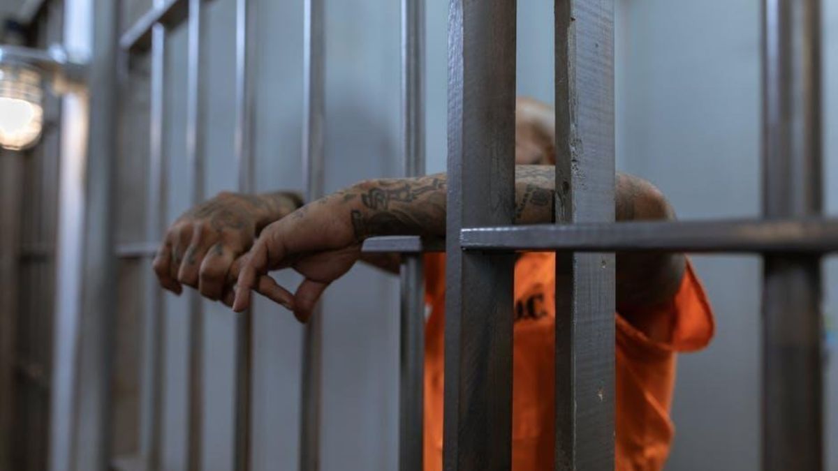 Bail Bonds