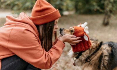Dog Gear