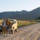 Long Highway Trips