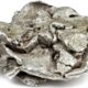spotted silver
