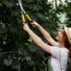 Louisiana Tree Services